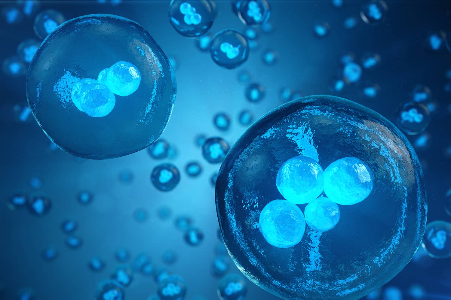 Stem Cell-Based Disease Modelling and Drug Development Photo